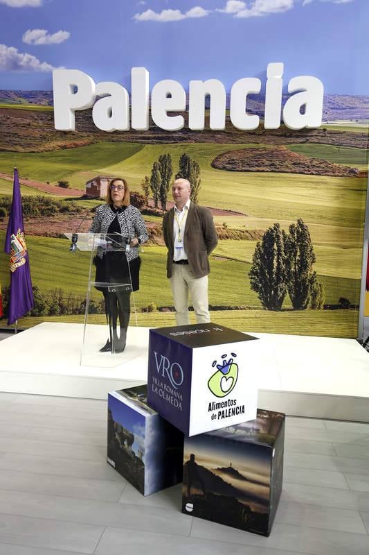 Palencia presenta su oferta turística en Intur