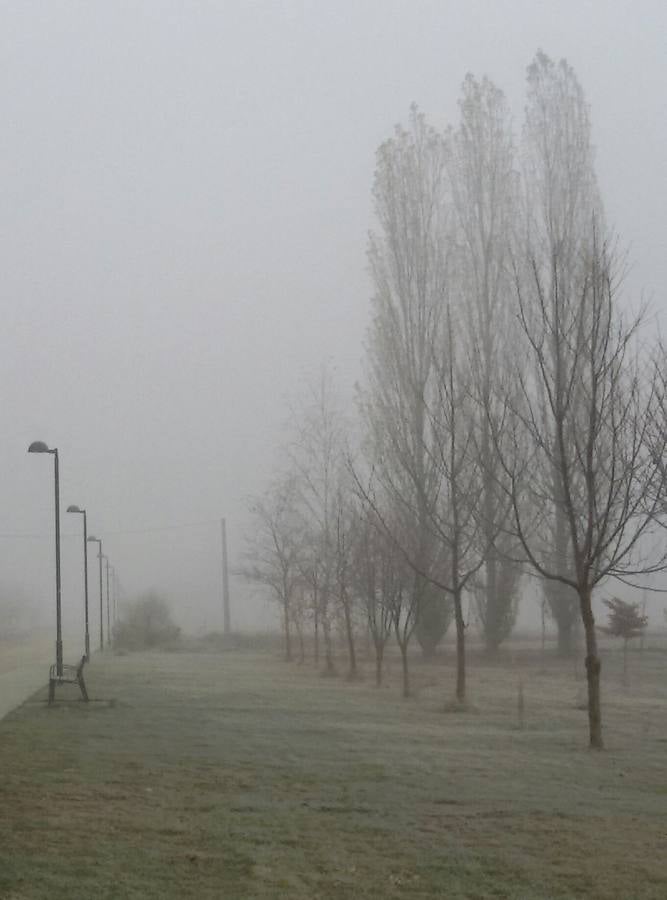 Niebla en Aguilar de Campoo