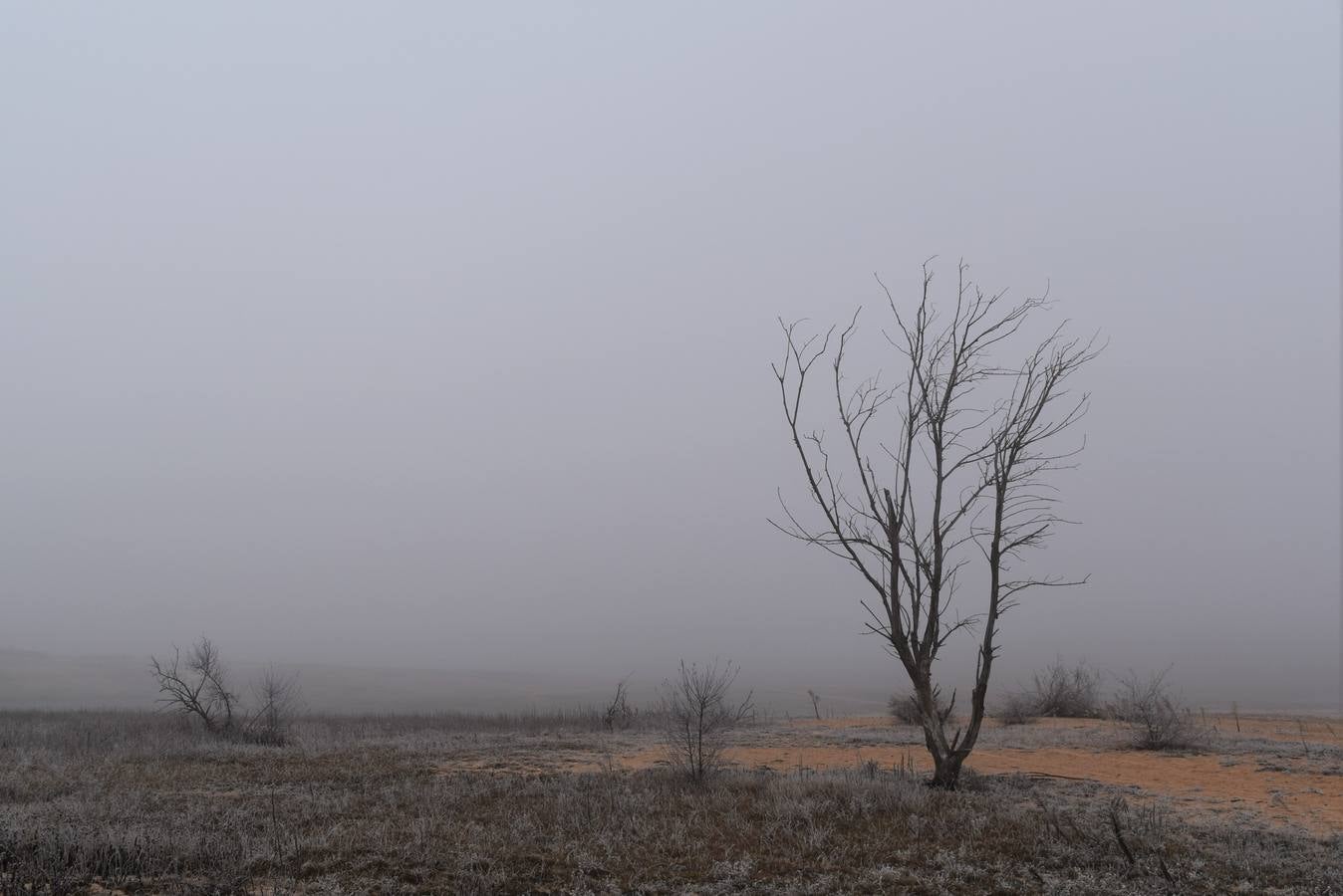 Niebla en Aguilar de Campoo