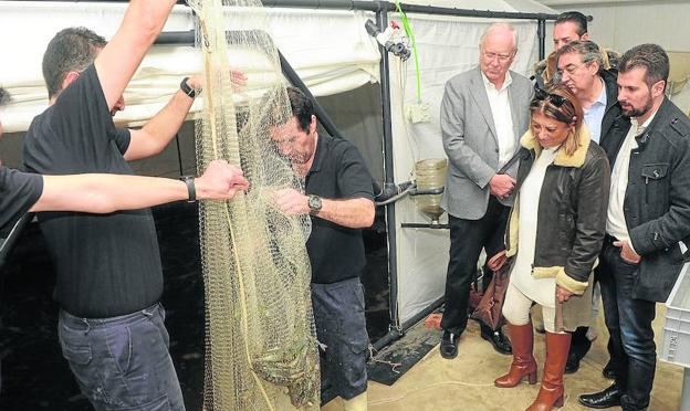 Visita a las instalaciones de Gamba nNtural