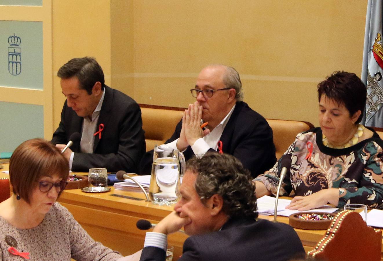 Pleno en el Ayuntamiento de Segovia