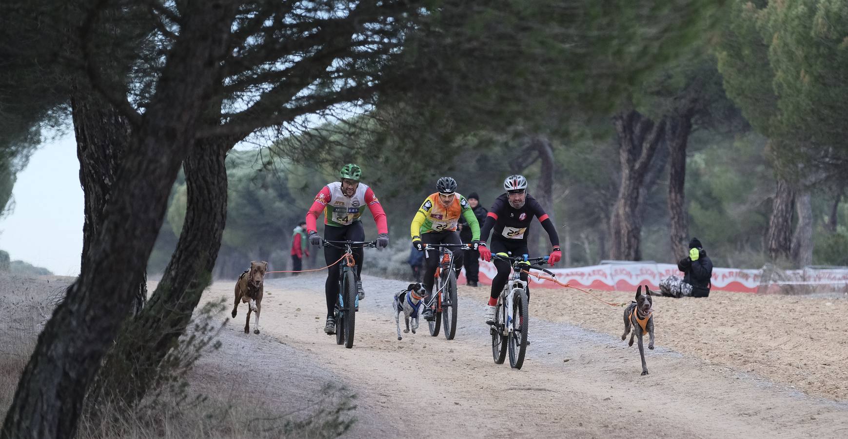 Campeonato de España de Mushing en Valladolid