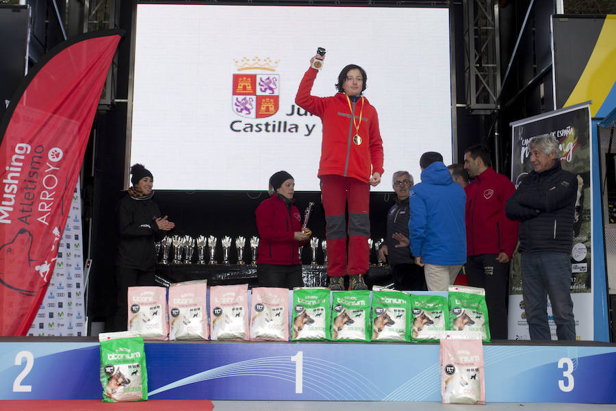 Celebrada parte del Campeonato de España de Mushing Sprint de Tierra. Entre los campeones destaca la victoria del vallisoletano Pablo Enjuto, en bikejoring un perro, o DBM.