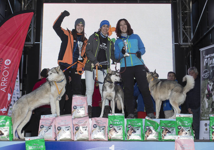 Celebrada parte del Campeonato de España de Mushing Sprint de Tierra. Entre los campeones destaca la victoria del vallisoletano Pablo Enjuto, en bikejoring un perro, o DBM.