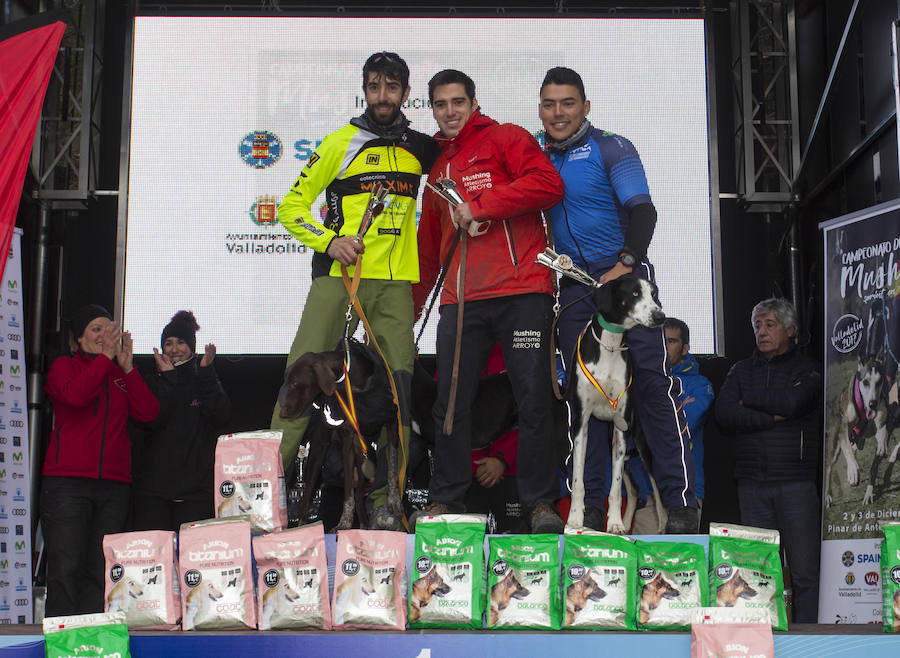 Celebrada parte del Campeonato de España de Mushing Sprint de Tierra. Entre los campeones destaca la victoria del vallisoletano Pablo Enjuto, en bikejoring un perro, o DBM.