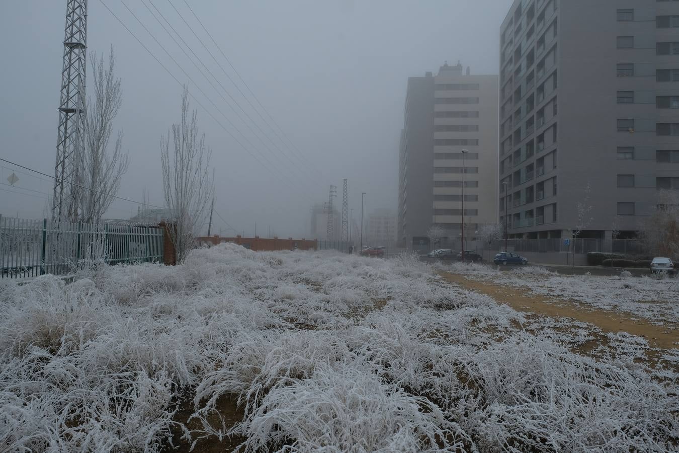 Aunque muchos han podido pensar que es nieve, en realidad es la propia niebla que, por las bajas temperaturas, se ha convertido en hielo, depositándose en árboles, coches y estructuras urbanas