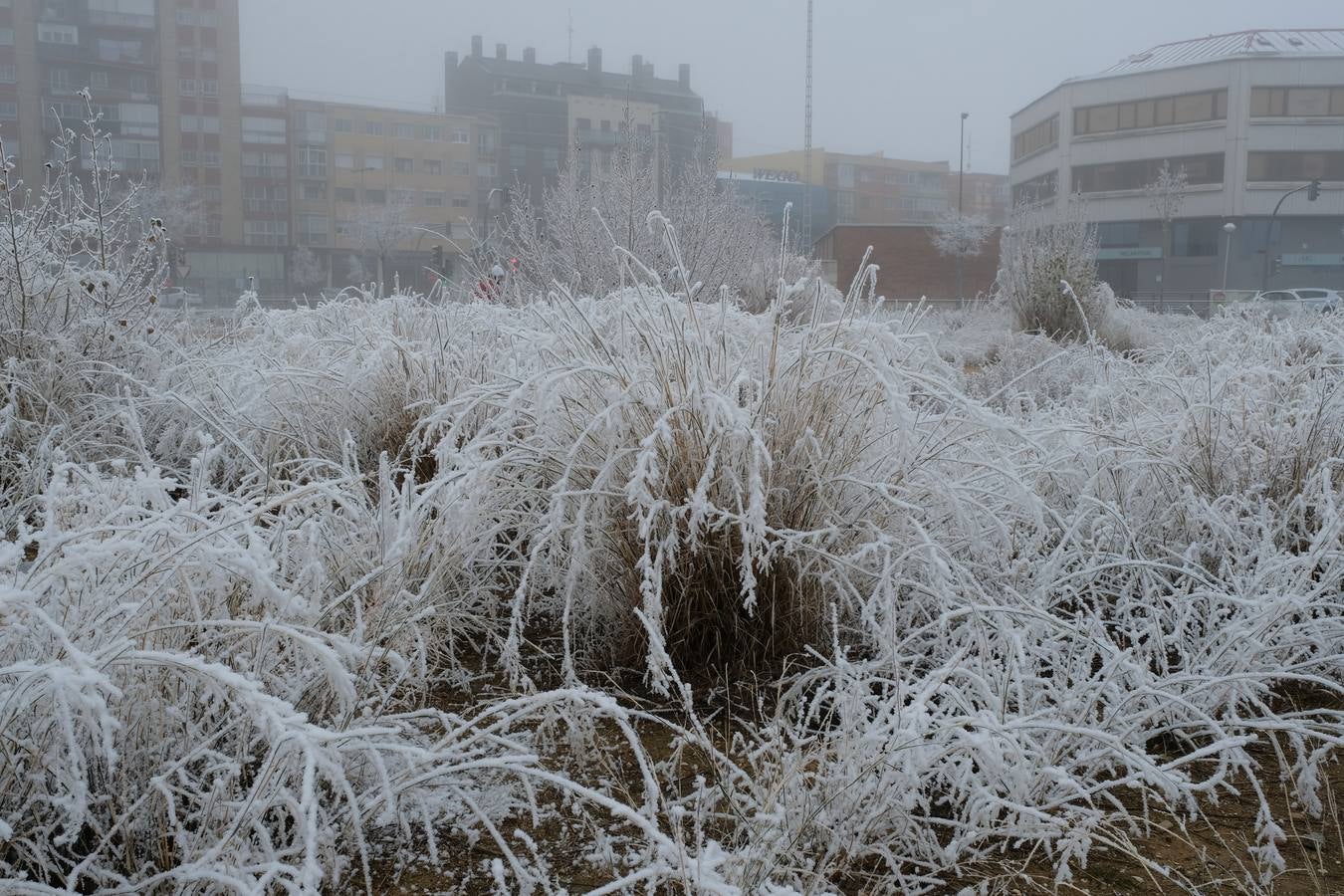 Aunque muchos han podido pensar que es nieve, en realidad es la propia niebla que, por las bajas temperaturas, se ha convertido en hielo, depositándose en árboles, coches y estructuras urbanas