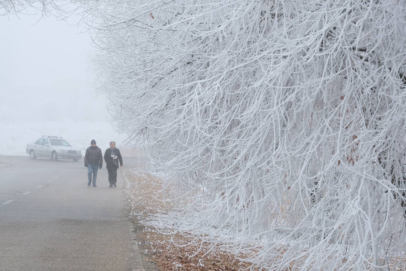 Aunque muchos han podido pensar que es nieve, en realidad es la propia niebla que, por las bajas temperaturas, se ha convertido en hielo, depositándose en árboles, coches y estructuras urbanas