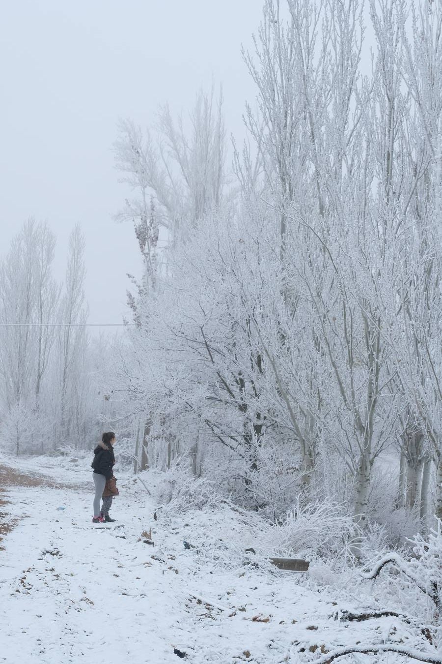 Aunque muchos han podido pensar que es nieve, en realidad es la propia niebla que, por las bajas temperaturas, se ha convertido en hielo, depositándose en árboles, coches y estructuras urbanas