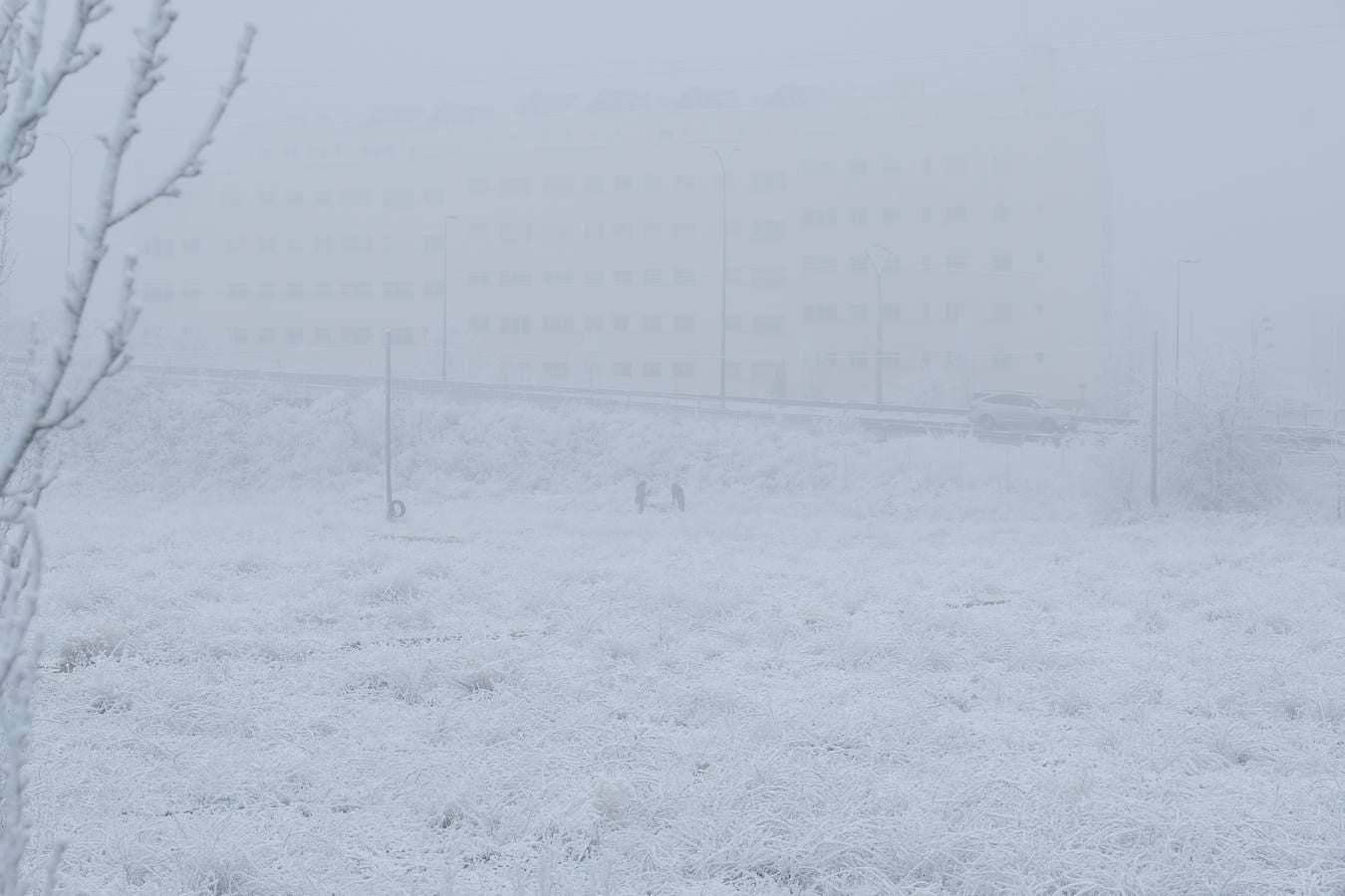 Aunque muchos han podido pensar que es nieve, en realidad es la propia niebla que, por las bajas temperaturas, se ha convertido en hielo, depositándose en árboles, coches y estructuras urbanas