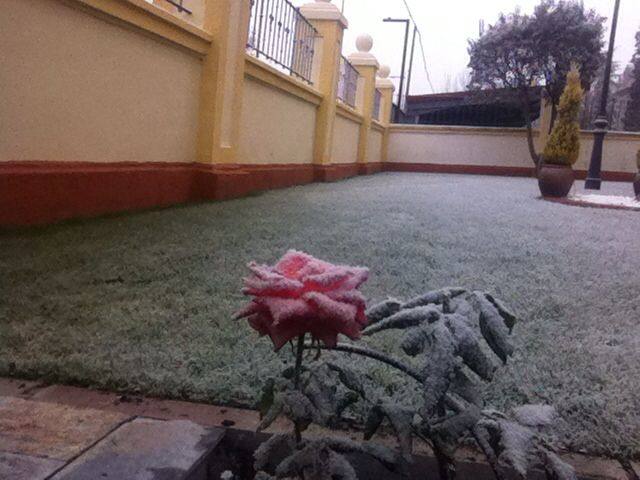 Jardín de la residencia militar de Valladolid.