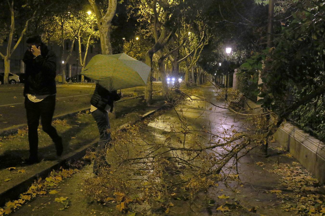 Los bomberos retiraron cascotes, ramas, vallas y luces de Navidad tras los fuertes vientos