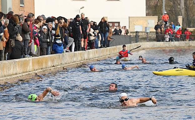 Los participantes en el Chapuzón Navideño de esta mañana en la Dársena del Canal.