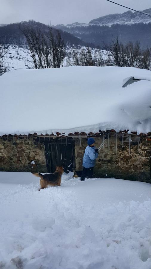 La intensa nevada que ha caído sobre Santa María de Redondo ha dejado estas hermosas imágenes.