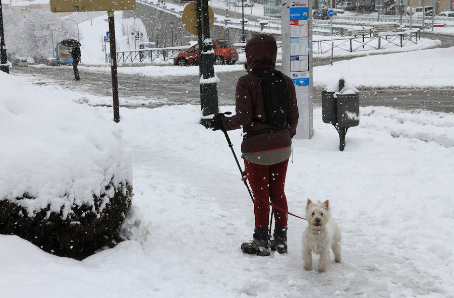 Segovia y provincia han protagonizado la actualidad del temporal del fin de semana. La nieve colapsó sus carreteras y puso un manto blanco en la capital, que muchos aprovecharon para ver el lado positivo y esquiar junto al Acueducto. Pese a la belleza de las imágenes, la nieve complicó la vida de sus ciudadanos.
