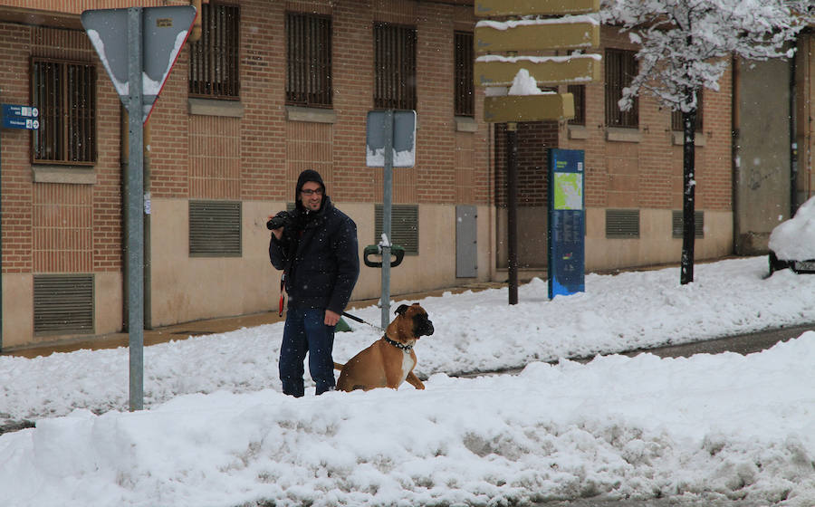 Segovia y provincia han protagonizado la actualidad del temporal del fin de semana. La nieve colapsó sus carreteras y puso un manto blanco en la capital, que muchos aprovecharon para ver el lado positivo y esquiar junto al Acueducto. Pese a la belleza de las imágenes, la nieve complicó la vida de sus ciudadanos.