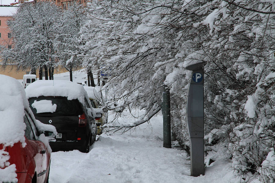 Segovia y provincia han protagonizado la actualidad del temporal del fin de semana. La nieve colapsó sus carreteras y puso un manto blanco en la capital, que muchos aprovecharon para ver el lado positivo y esquiar junto al Acueducto. Pese a la belleza de las imágenes, la nieve complicó la vida de sus ciudadanos.