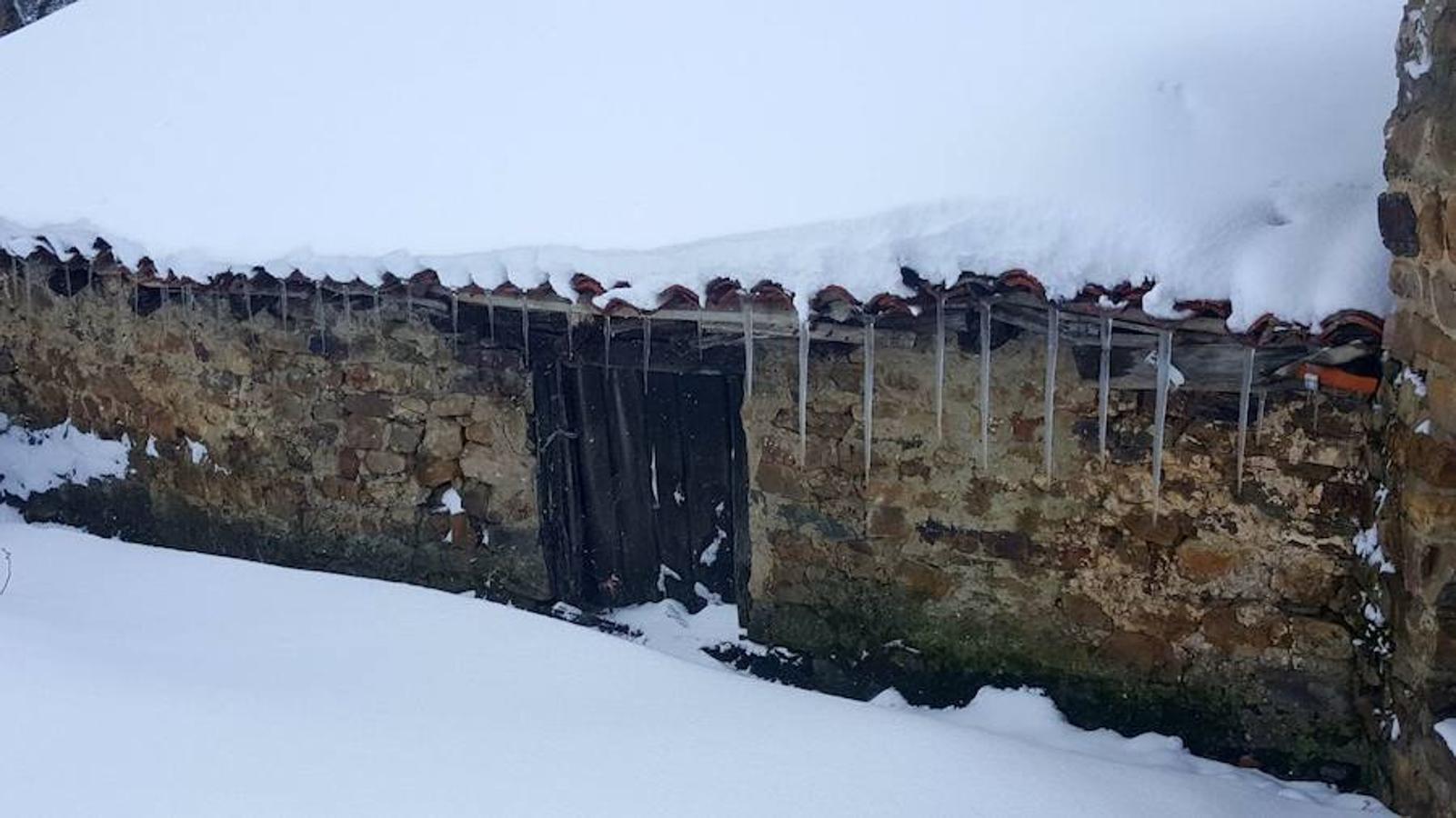 La intensa nevada que ha caído sobre Santa María de Redondo ha dejado estas hermosas imágenes.