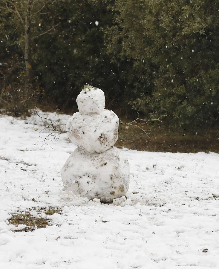 Nieve en Palencia