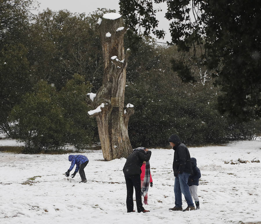 Nieve en Palencia