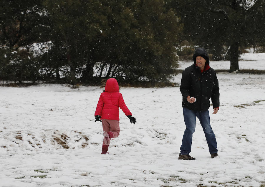 Nieve en Palencia