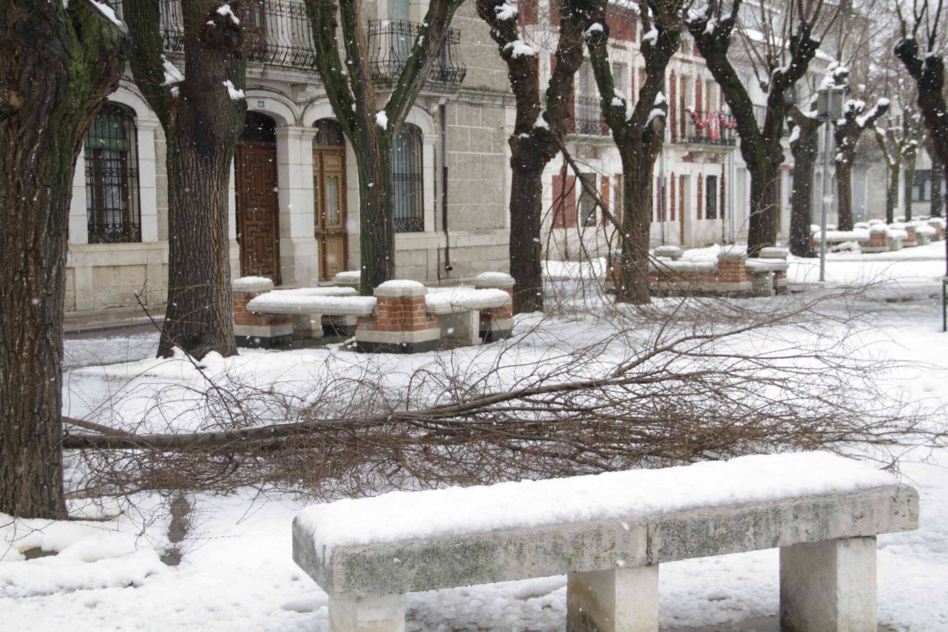 Nevada en Campaspero