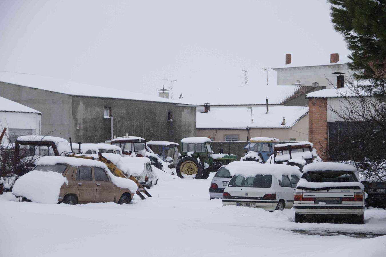 Nevada en Campaspero