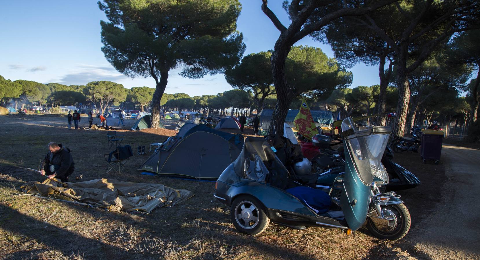 Llegan los primeros Pingüinos a la zona de acampada