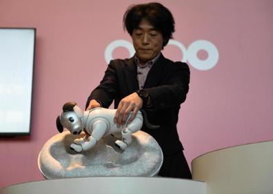 Imagen secundaria 1 - El perro-robot Aibo de Sony arrasa en la preventa