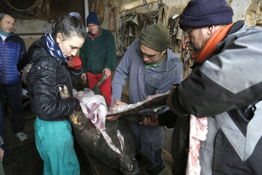 Matanza tradicional en Castromocho