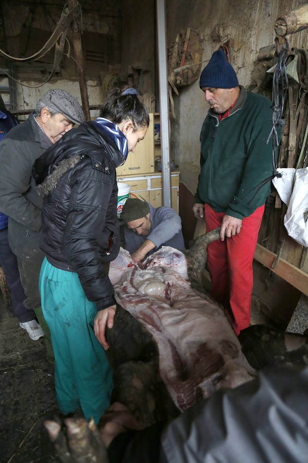 Matanza tradicional en Castromocho