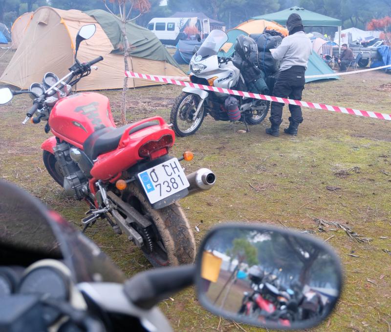 Despedida Pingüinos 2018