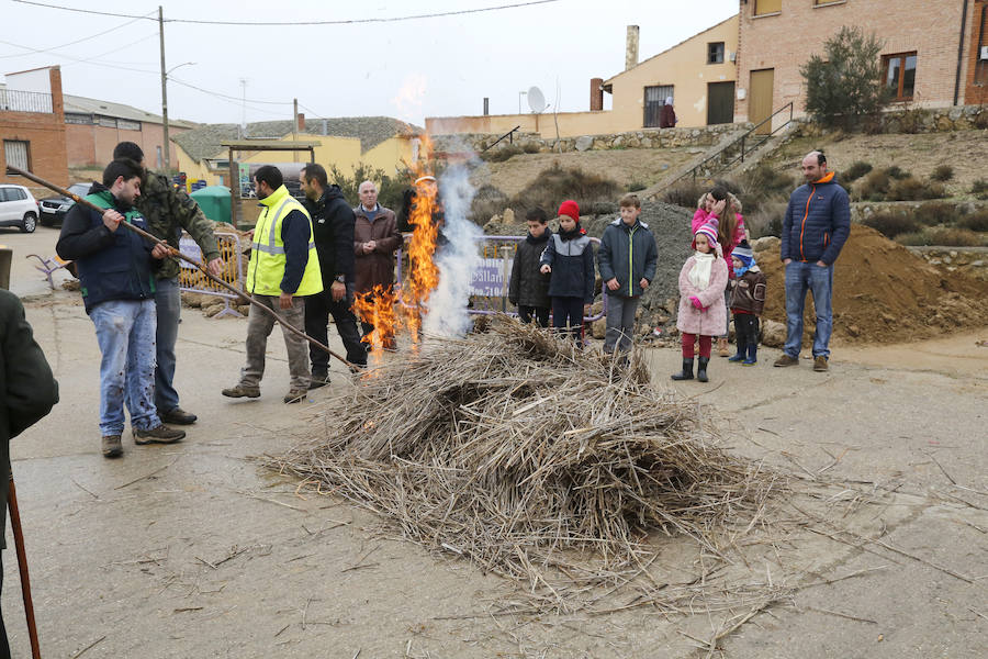 Matanza tradicional en Fuentes de Nava
