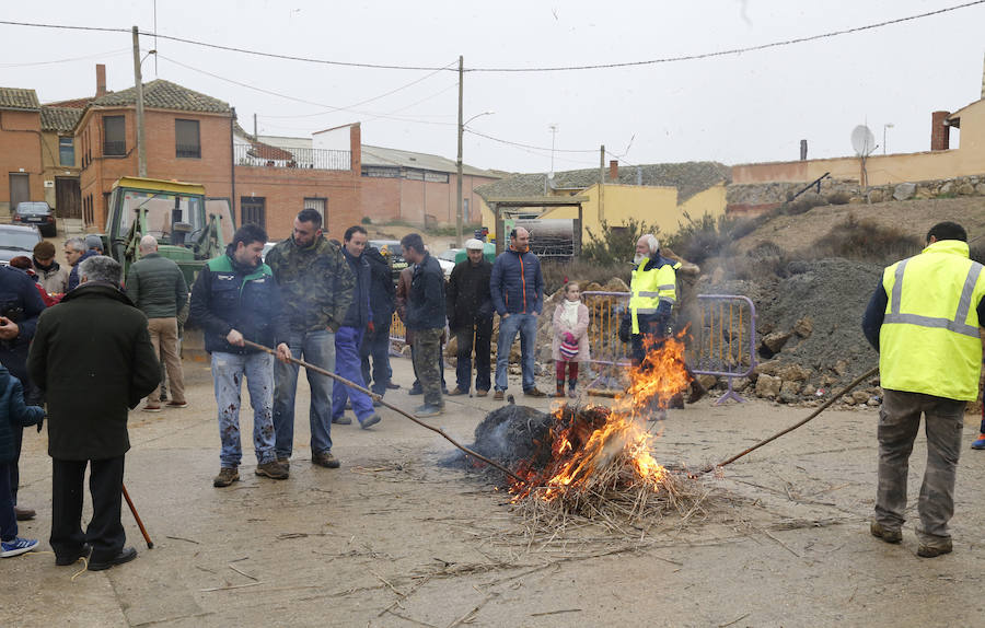 Matanza tradicional en Fuentes de Nava