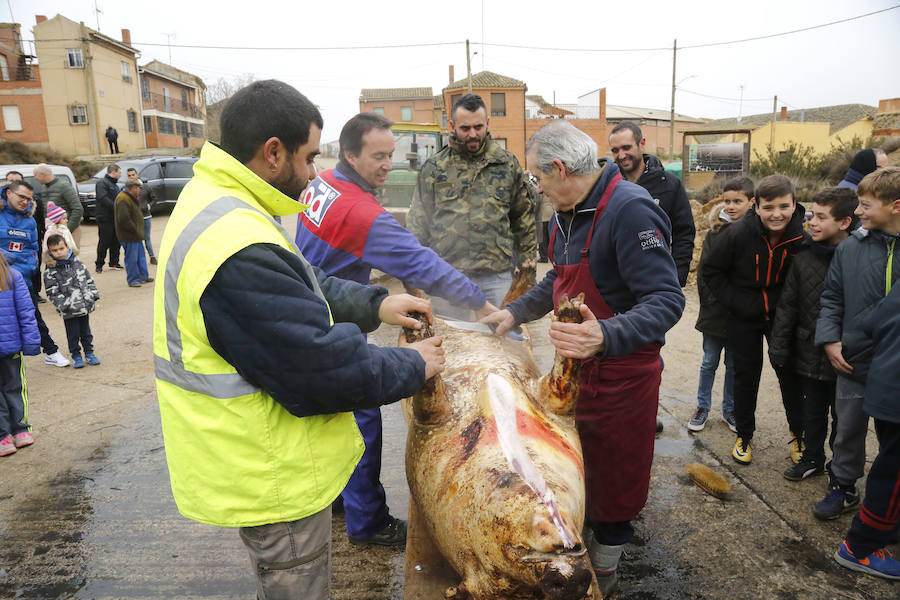 Matanza tradicional en Fuentes de Nava