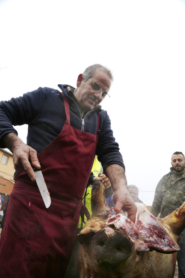 Matanza tradicional en Fuentes de Nava