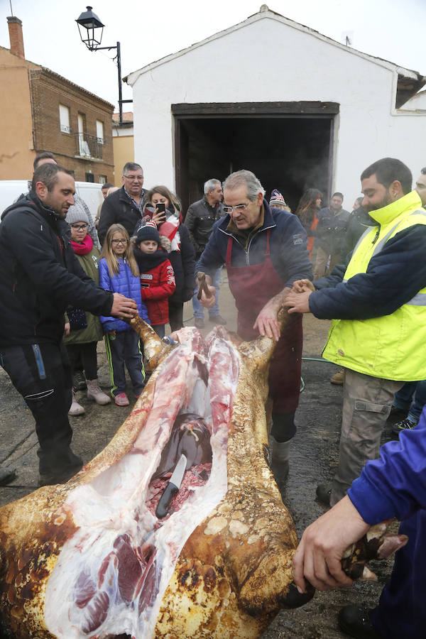 Matanza tradicional en Fuentes de Nava