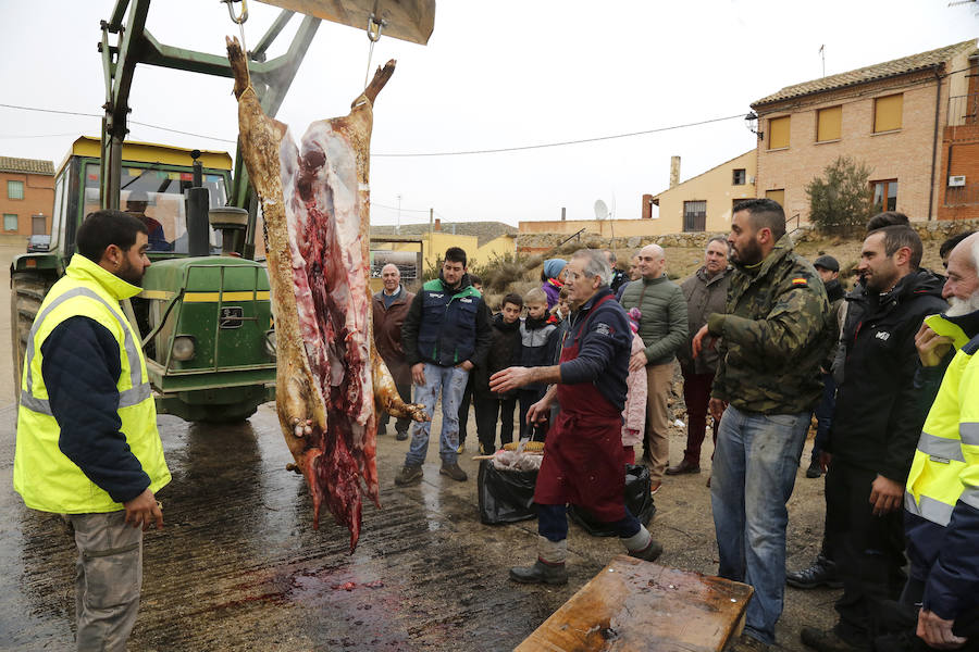 Matanza tradicional en Fuentes de Nava