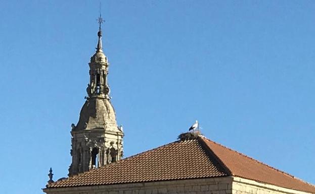 Por San Blas la cigüeña verás. Y también por San Antón