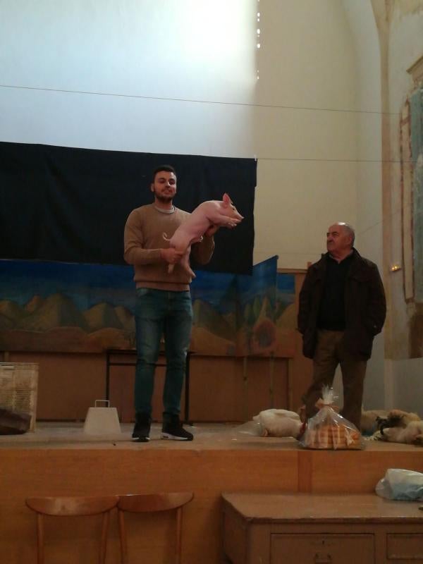 San Antón en Bolaños.