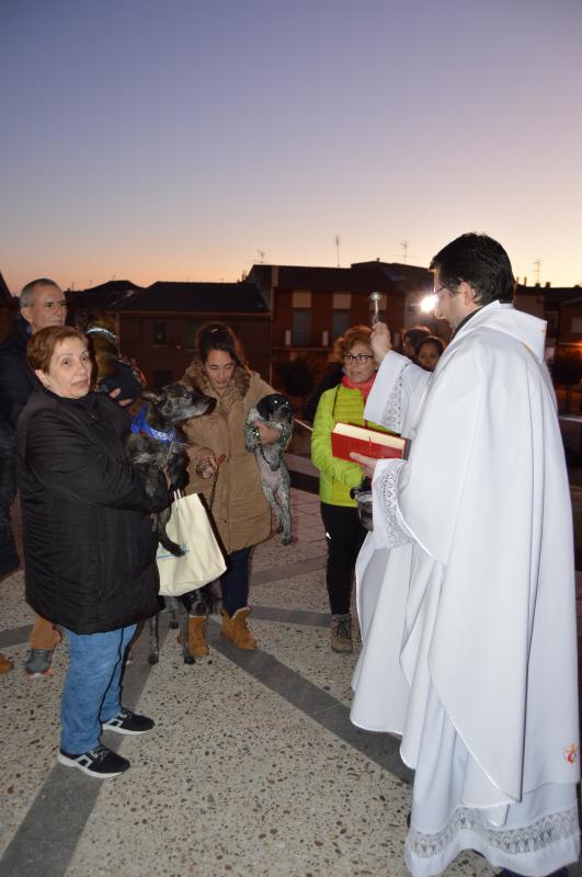 San Antón en Cigales.
