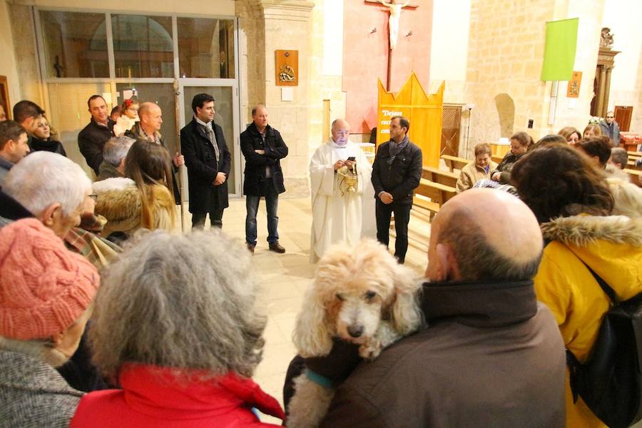 San Antón en Medina de Rioseco.