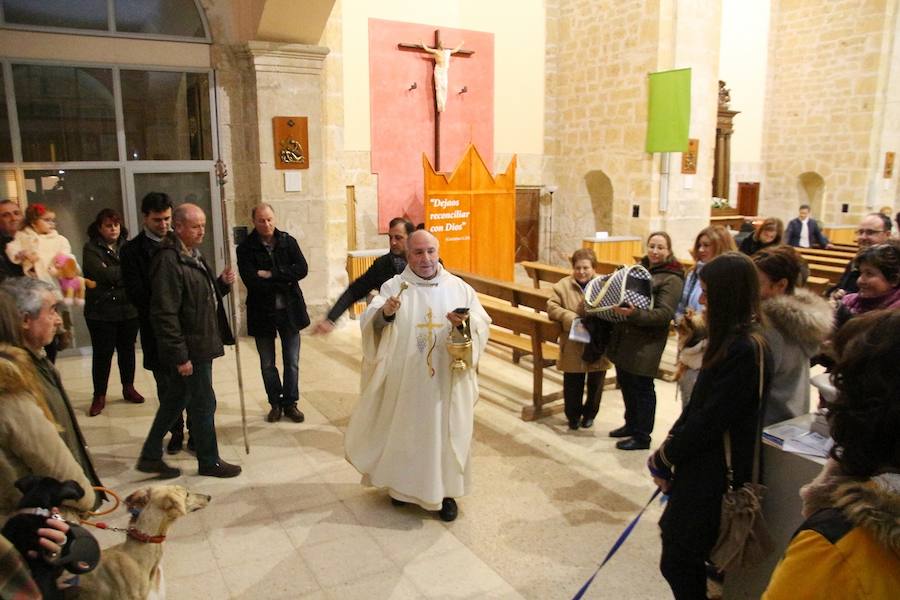 San Antón en Medina de Rioseco.