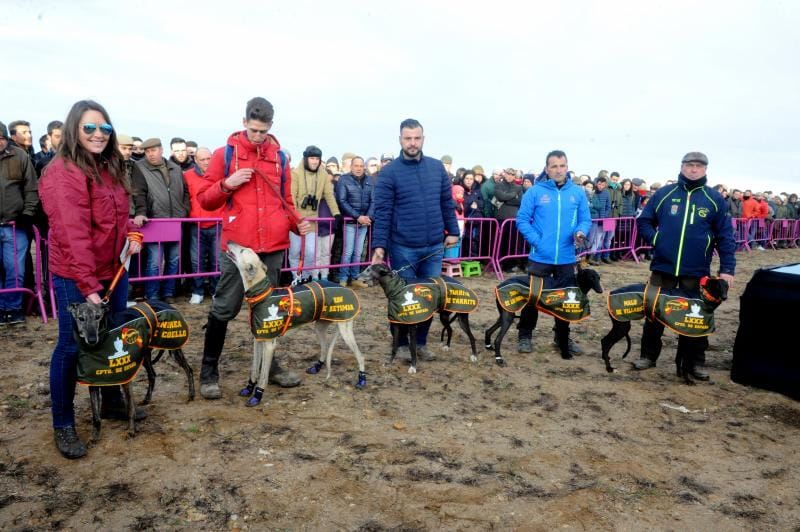 Arranca el campeonato Nacional de Galgos en Madrigal de las Altas Torres