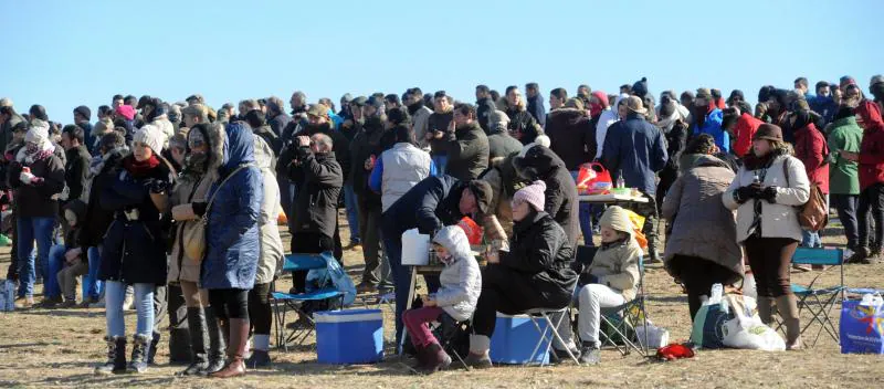 Arranca el campeonato Nacional de Galgos en Madrigal de las Altas Torres