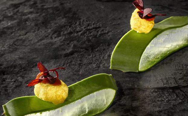 Plato vegetal del chef Rodrigo de la Calle, quien el lunes presentará su ‘Cocina Azul’.