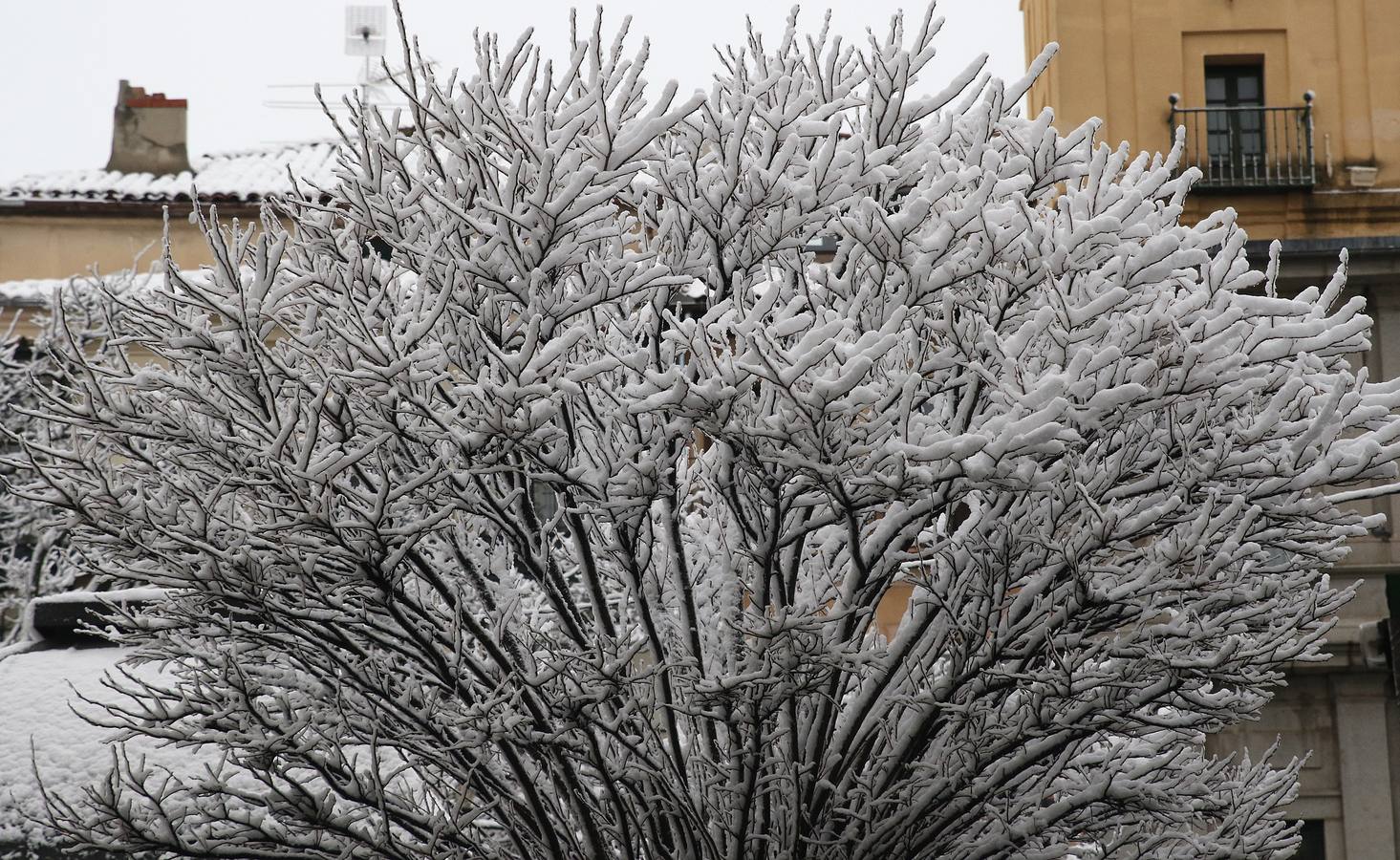 Vuelve la nieve a Segovia
