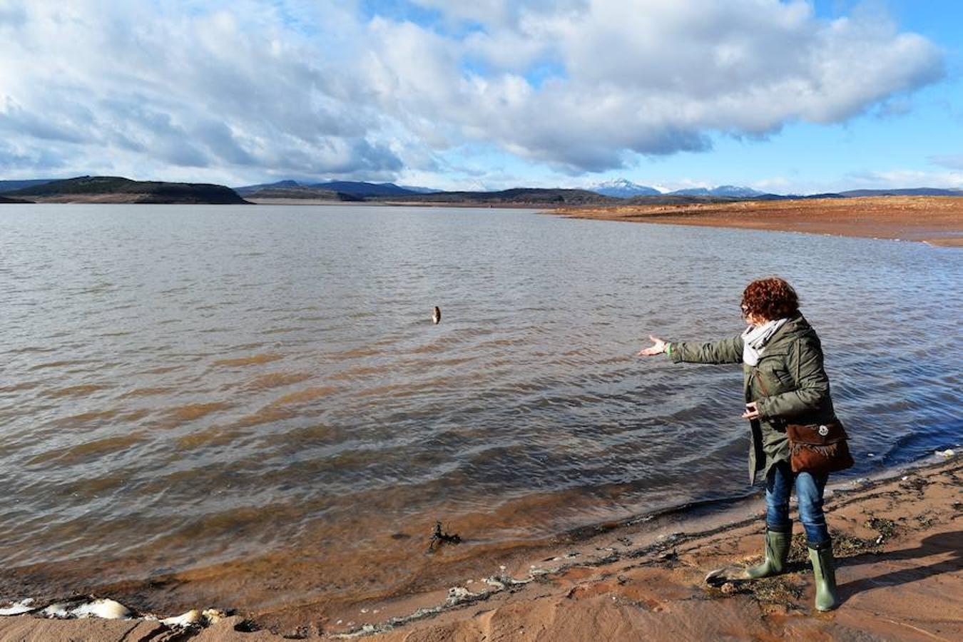 El pantano de Aguilar, un cementerio de almejas de río