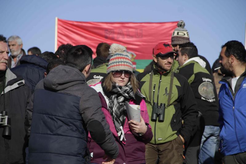 Ambiente en la carrera de galgos de este sábado en Madrigal de las Altas Torres, durante los cuartos de final del Campeonato Nacional