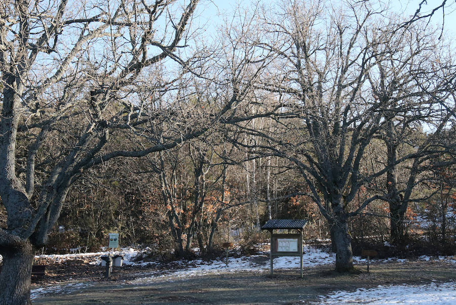Reunión del Patronato del Parque Nacional &#039;Sierra de Guadarrama&#039;